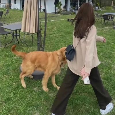 创母者,受爱者