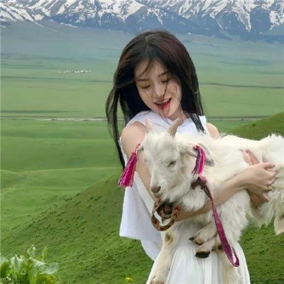 少年骇客:全面进化第三季